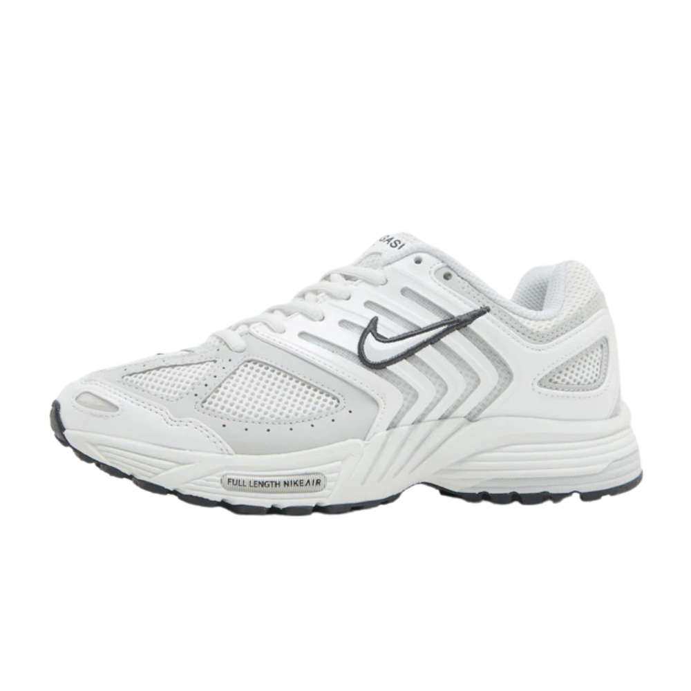 Air Pegasus 2005 נעלי דאנק Air Pegasus 2005 נעלי דאנק – תמונה 1